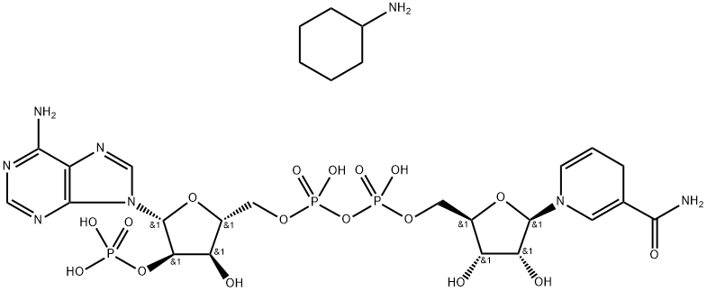 100929-71-3   還原型輔酶II四鈉   BETA-NADPH TETRA(CYCLOHEXYLAMMONIUM) SALT 