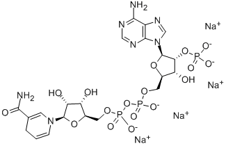 2646-71-1   還原型輔酶II   BETA-NADPH TETRASODIUM SALT 