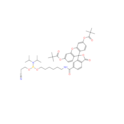  CAS：204697-37-0，5'-熒光素氨基磷酸酯