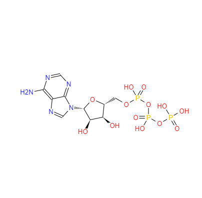 CAS：56-65-5，三磷酸腺苷 