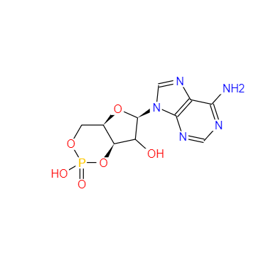 CAS：60-92-4，環(huán)磷酸腺苷 