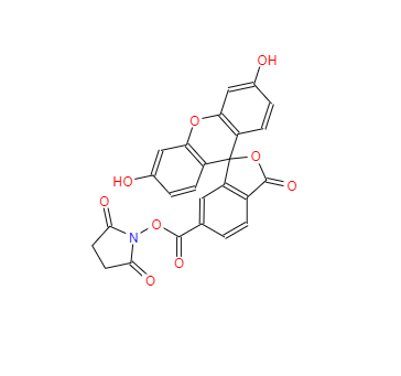 CAS：92557-81-8，6-羧基熒光素琥珀酰亞胺酯 