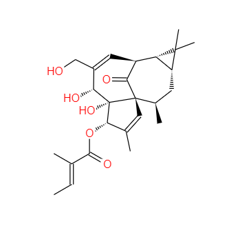 CAS：75567-37-2，巨大戟醇-3-O-當歸酸酯(巨大戟醇甲基丁烯酸酯)