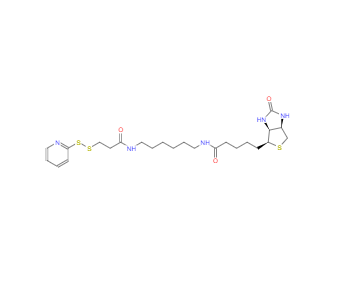 CAS：129179-83-5，N-[6-(生物素酰氨基)己基]-3`-(2`-吡啶二硫基)丙酰胺
