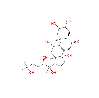CAS：41451-87-0，筋骨草提取物 