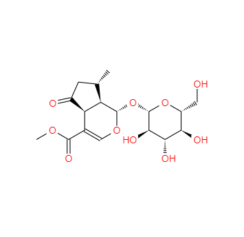 CAS：548-37-8，馬鞭草苷 