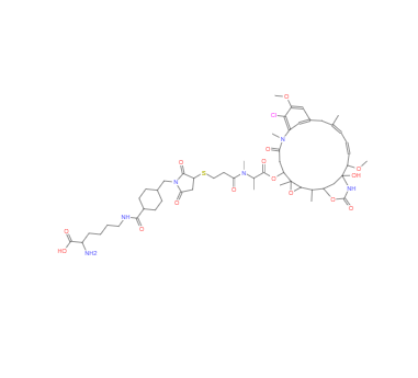 CAS：1281816-04-3，Lys-SMCC-DM1 