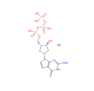 CAS：93919-41-6，2'-脫氧鳥苷-5'-三磷酸三鈉鹽