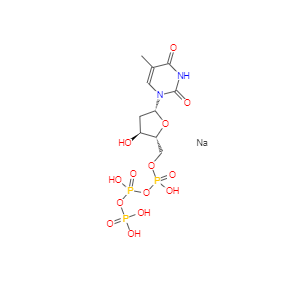 CAS：27821-54-1，胸苷-5'-三磷酸三鈉鹽 