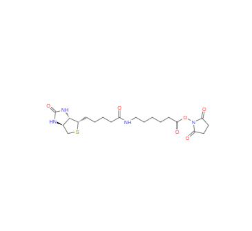 CAS：72040-63-2，N-琥珀酰亞氨基6-生物素氨己酸